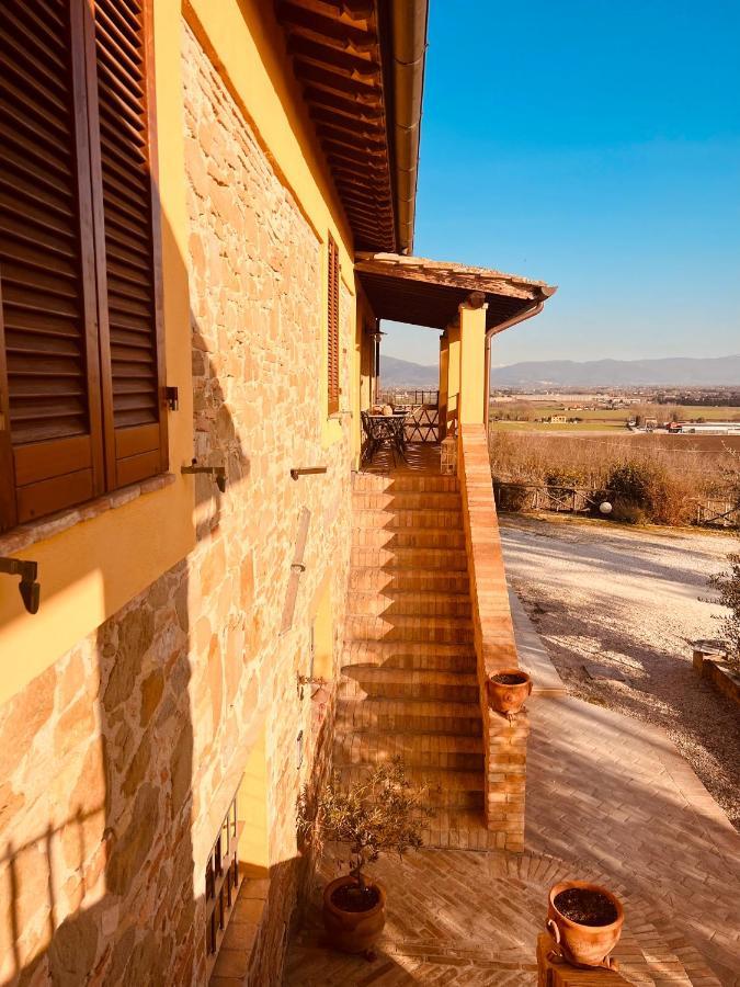 Agriturismo Il Divin Casale 토르지아노 외부 사진