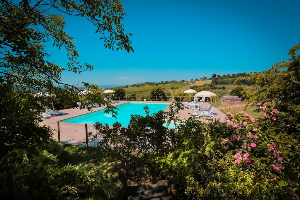 Agriturismo Il Divin Casale 토르지아노 외부 사진